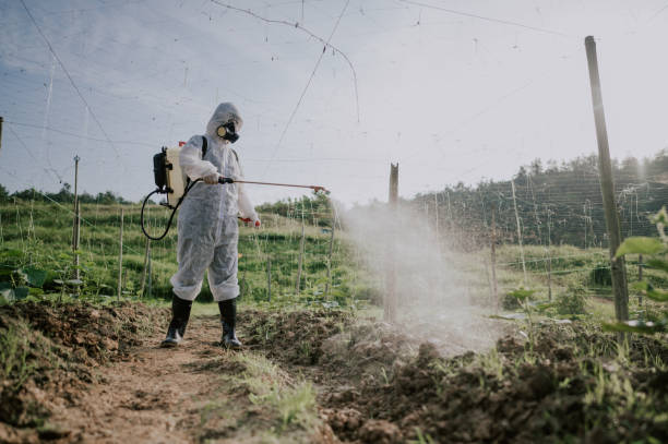 Best Pest Control Treatment  in Alma, MI