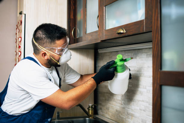 Best Ant Control Services  in Alma, MI