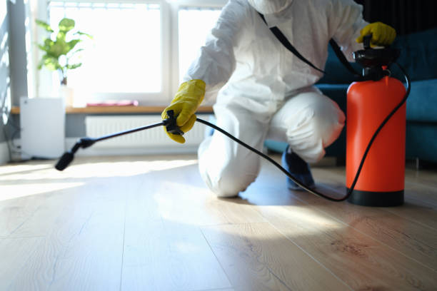 Best Wasp Removal Services  in Alma, MI