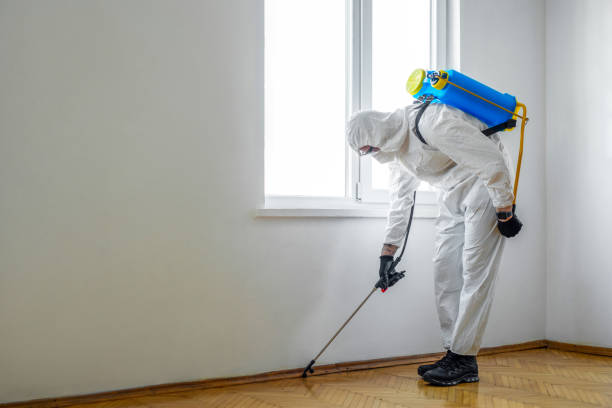Best Insect Control  in Alma, MI