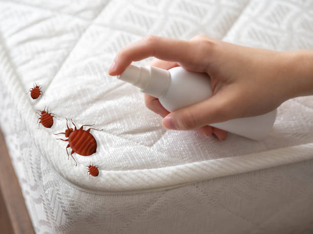 Flea Control Services in Alma, MI