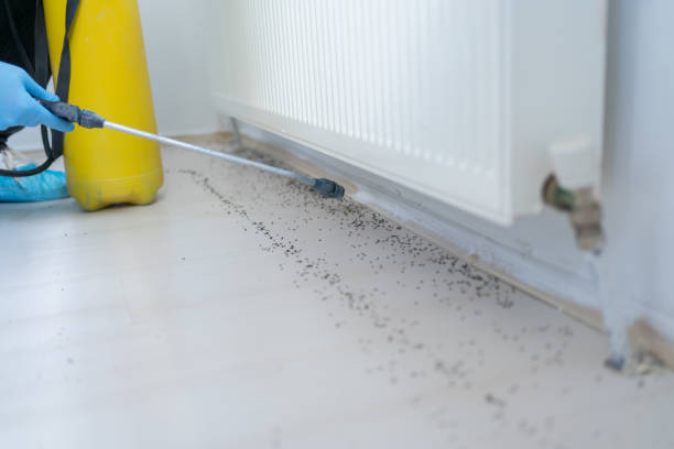 Best Pest Prevention Services  in Alma, MI