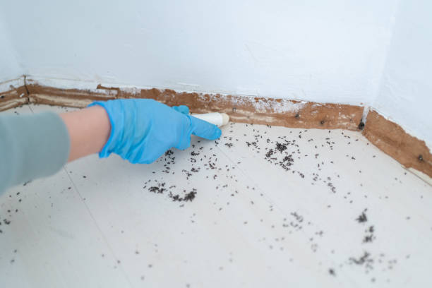 Best Best Pest Control Companies  in Alma, MI