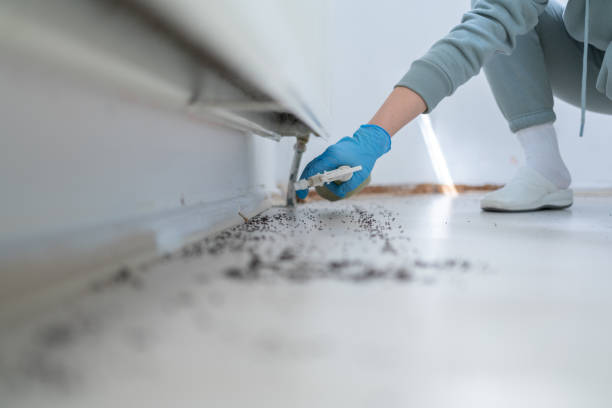 Reliable Alma, MI Pest Control Solutions